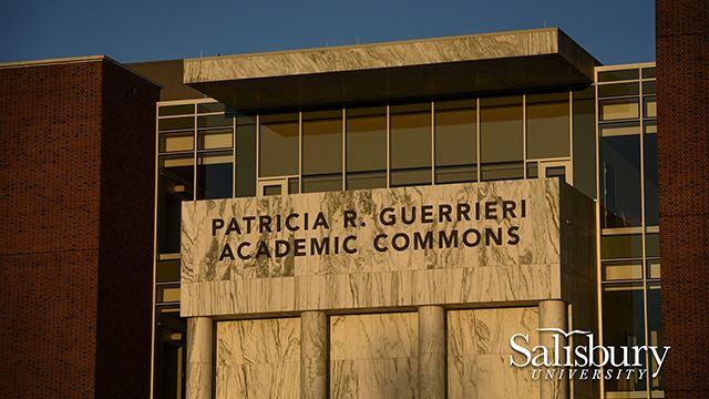 A Day in the Life of the Guerrieri Academic Commons